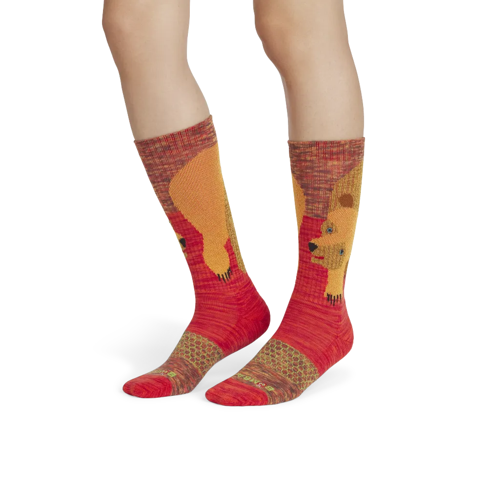 Eric Carle Big Brown Bear Calf Socks
