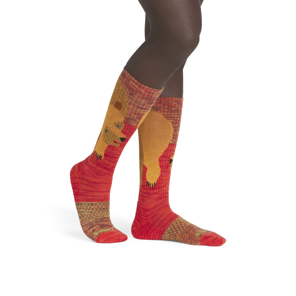 Eric Carle Big Brown Bear Calf Socks